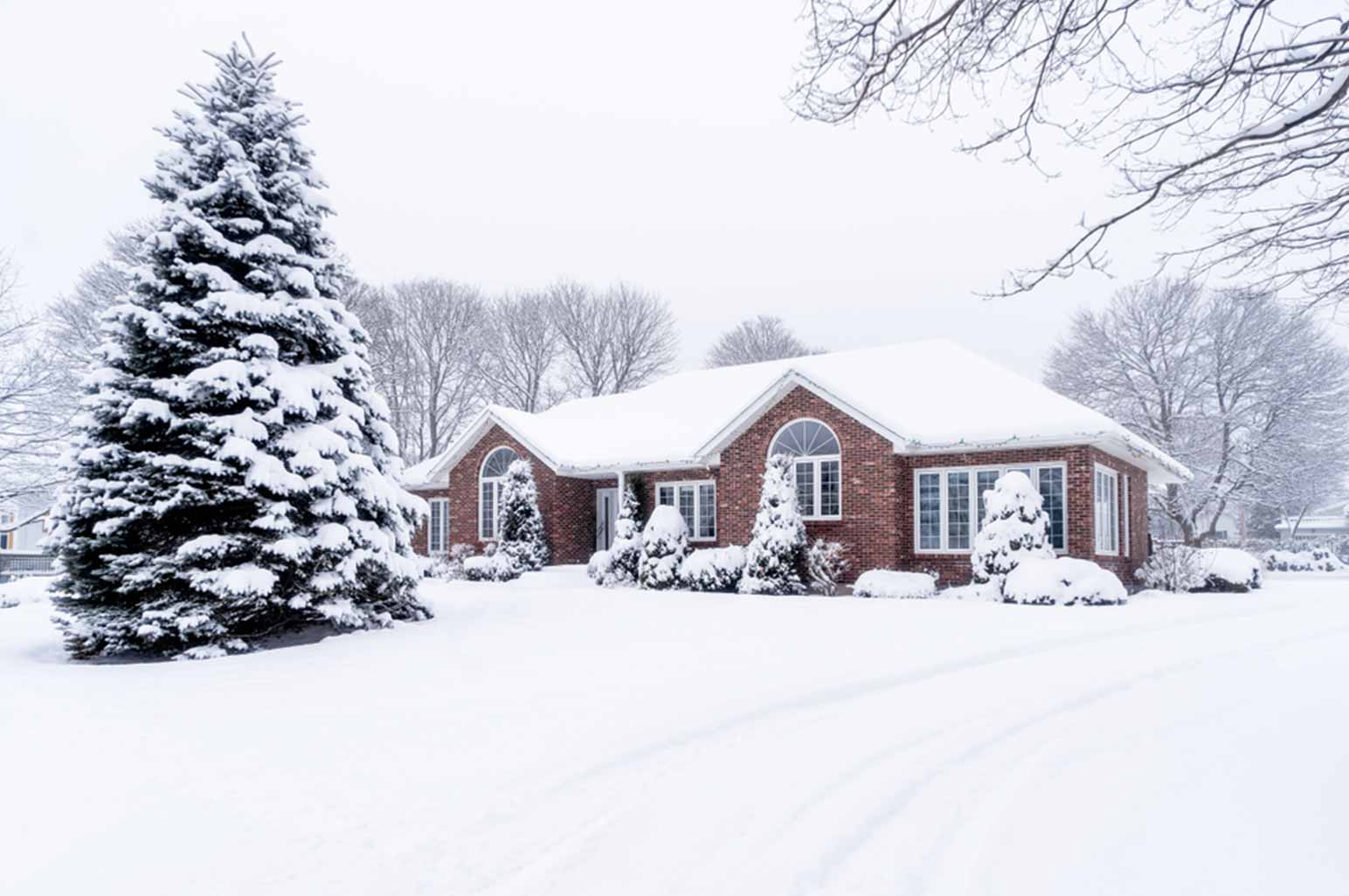 Restoring Your Yard After Winter