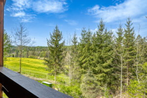Prodej chaty 4kk 63 m² na pozemku 353 m² Houserovka – Pelhrimov Reality VencovskY Vysocina 9