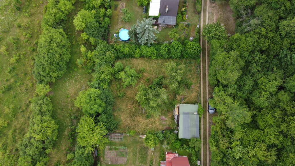 DJI 0447
