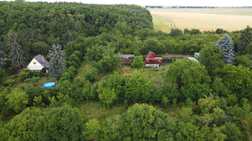 DJI 0451