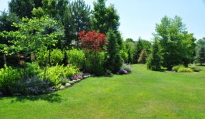 34a6cd9ab935311efaac8ea3969669ef